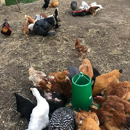 Apartament Retiro Dos Cedros - Adega *