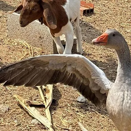 Retiro Dos Cedros - Adega
