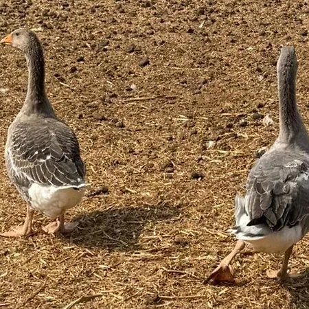 Apartment Retiro Dos Cedros - Adega
