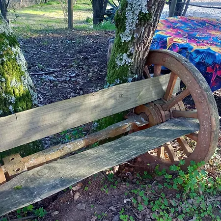 Apartment Retiro Dos Cedros - Adega