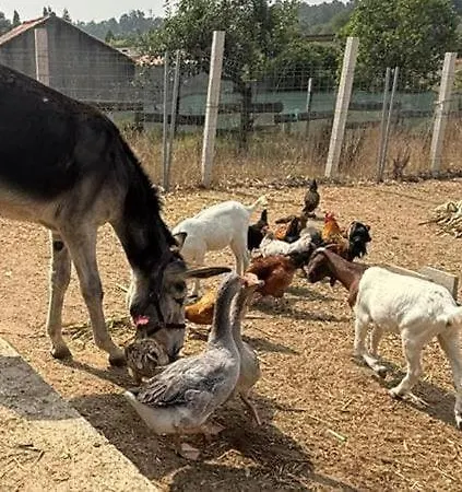 Retiro Dos Cedros - Adega